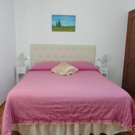 Dalla Carla In Toscana Monte San Savino Exterior photo